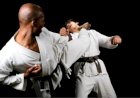 Karate in der Region Zug
