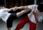 Kickboxen in der Region Zug