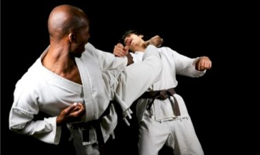 Karate in der Region Zug