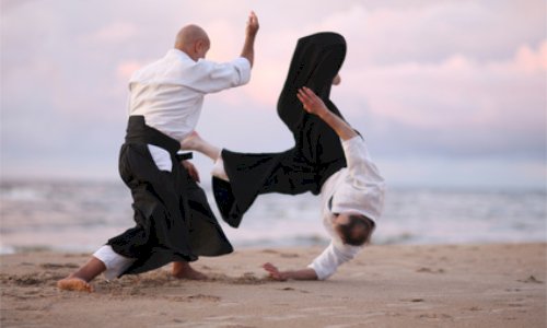 Aikido in der Region Zug