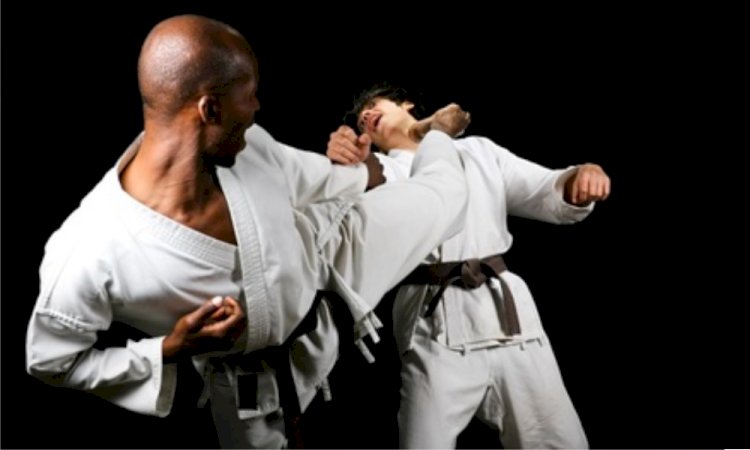 Karate in der Region Zug